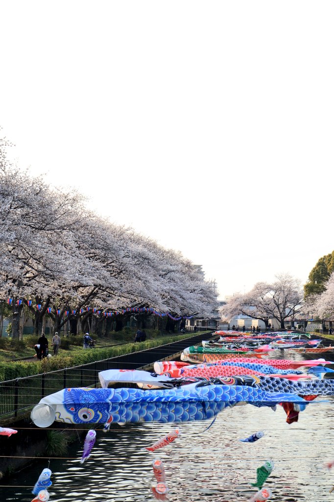 がめじゅ tweet media