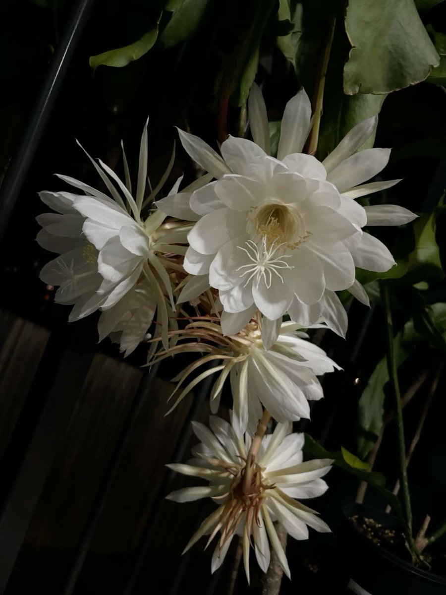 Gee. ♥︎ tweet media