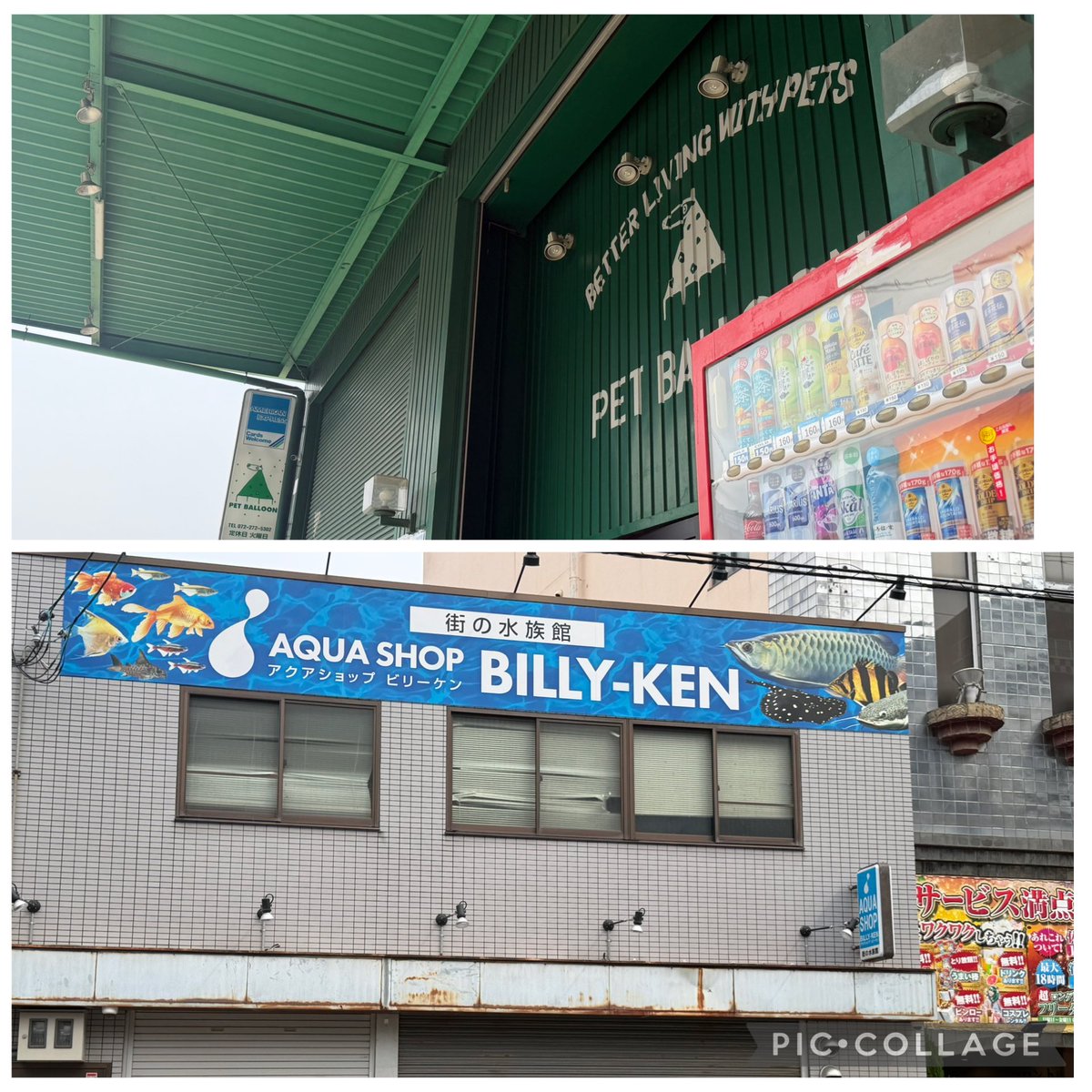 HnS297's tweet photo. 遠征🚶‍♂️埼玉〜F1〜終了、、大阪の夜もなかなか楽し、　ビリーケンで観たクンパイは一生物👀　新大阪の駅で食べた🍅トマト入りお好み焼きも👍　明日から仕事😹　#F1日本グランプリ　#鈴鹿サーキット　#なんば　#道頓堀　#心斎橋　#ペットバルーン　#ビリーケン　#クンパイ https://t.co/k5XEnFeaYB
