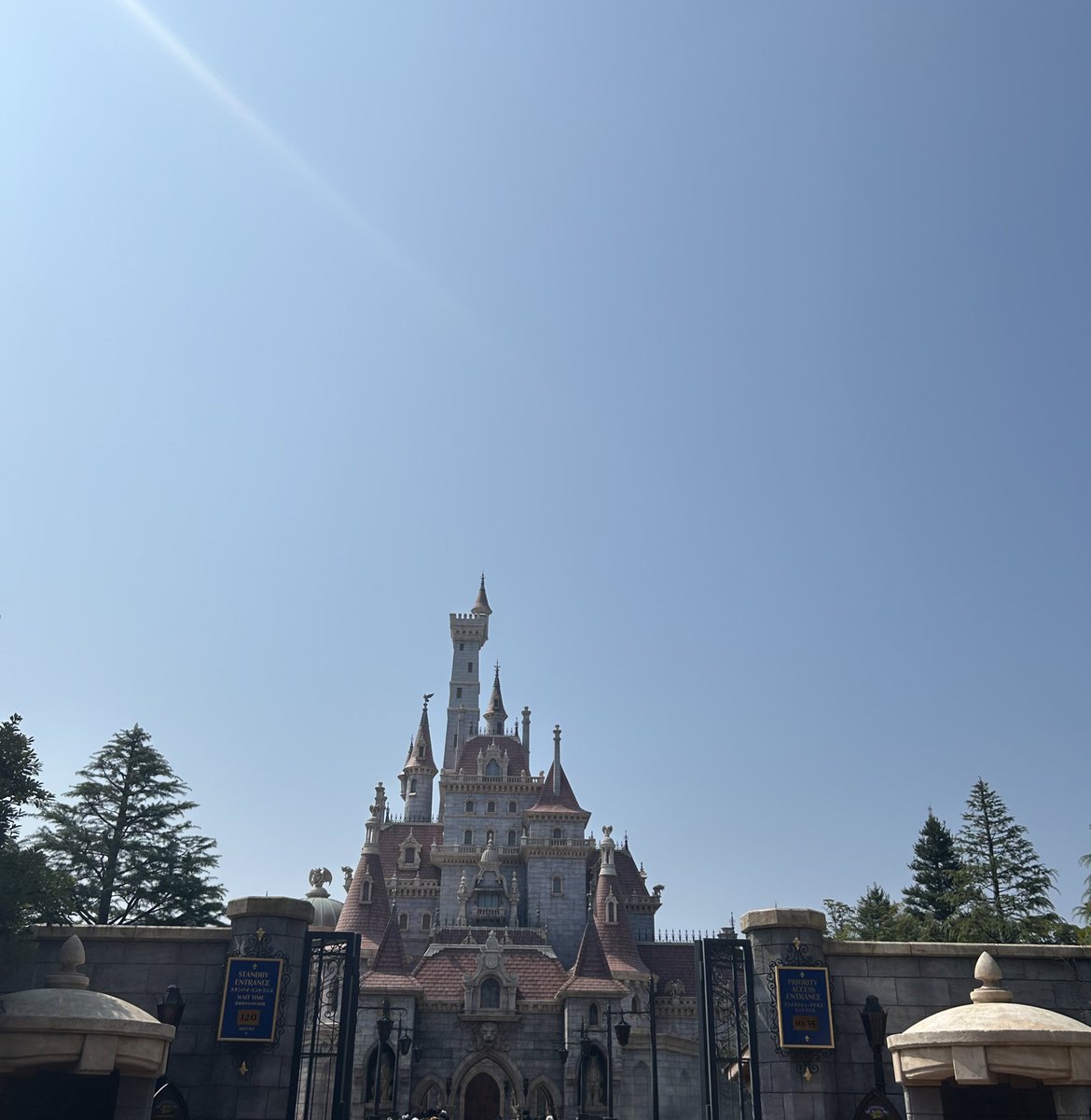 黄色水色 tweet media