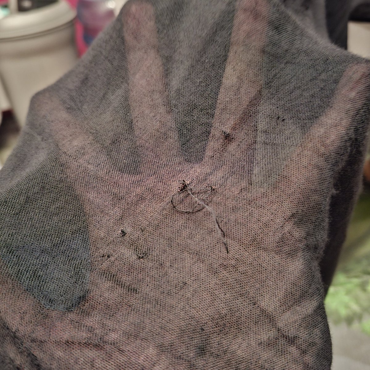 rawr🍓 tweet media