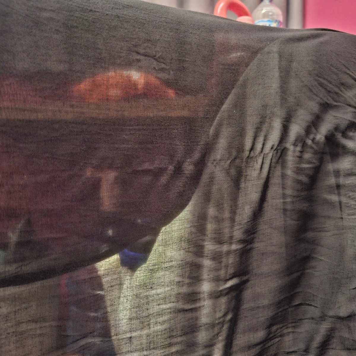 rawr🍓 tweet media