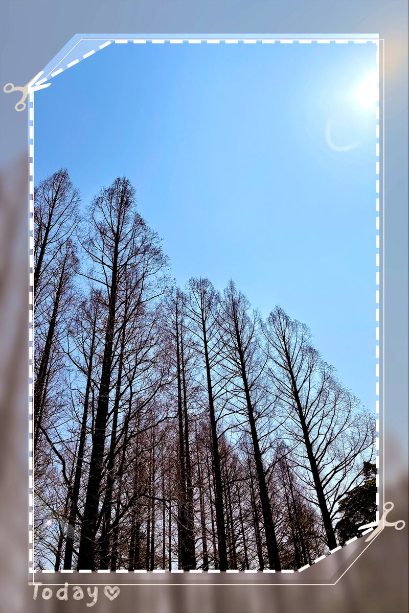 a_tsu_hg_don's tweet photo. 春だ��ぁー��てことで🌸
桜並木をお散歩して、まっすぐな木立を眺めて…
ね、あっくんの号令なら #Team_Yellow やることはちゃんとやるよ🤭
これが女子!(笑)
#佐藤アツヒロ
#夜の待ち合わせ https://t.co/4GTuGoIdKV
