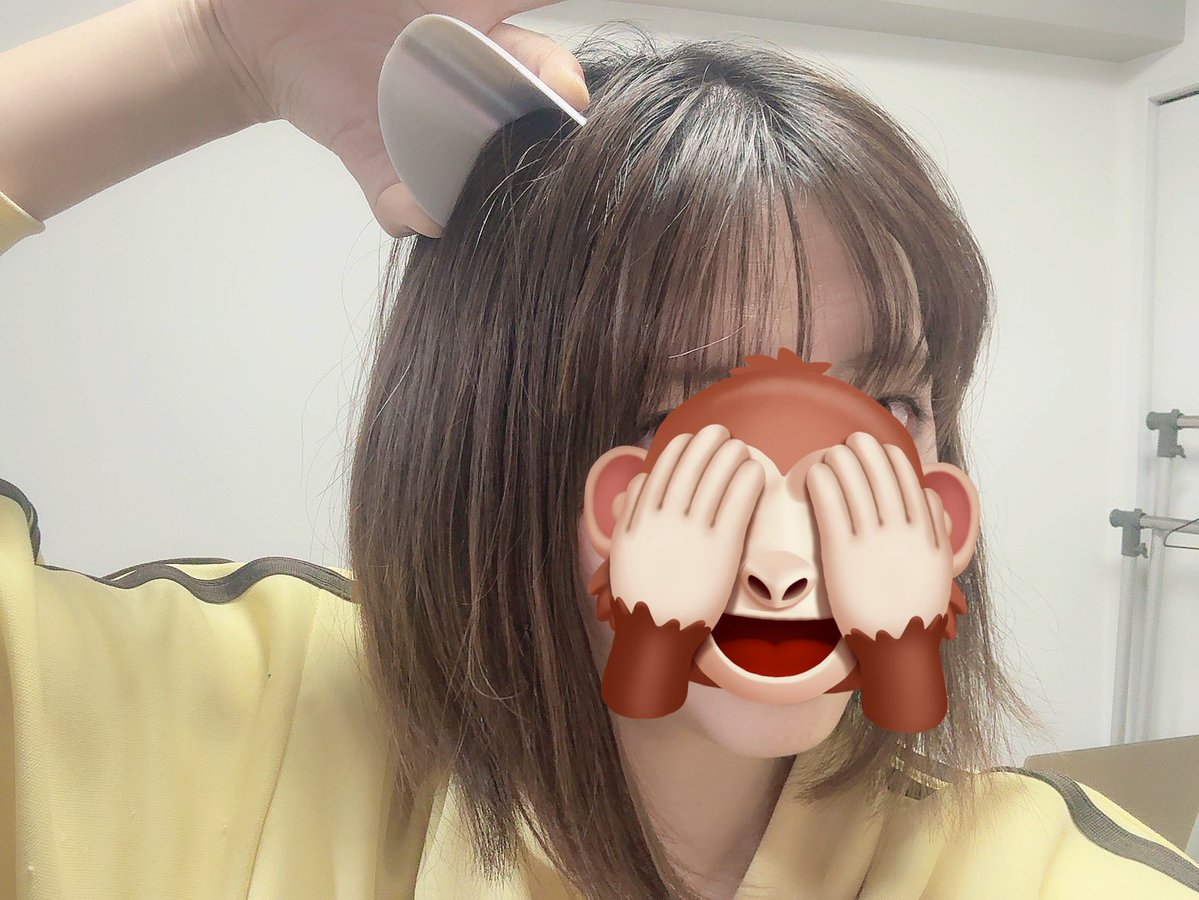 三色にゃんこ🍡🐱 tweet media