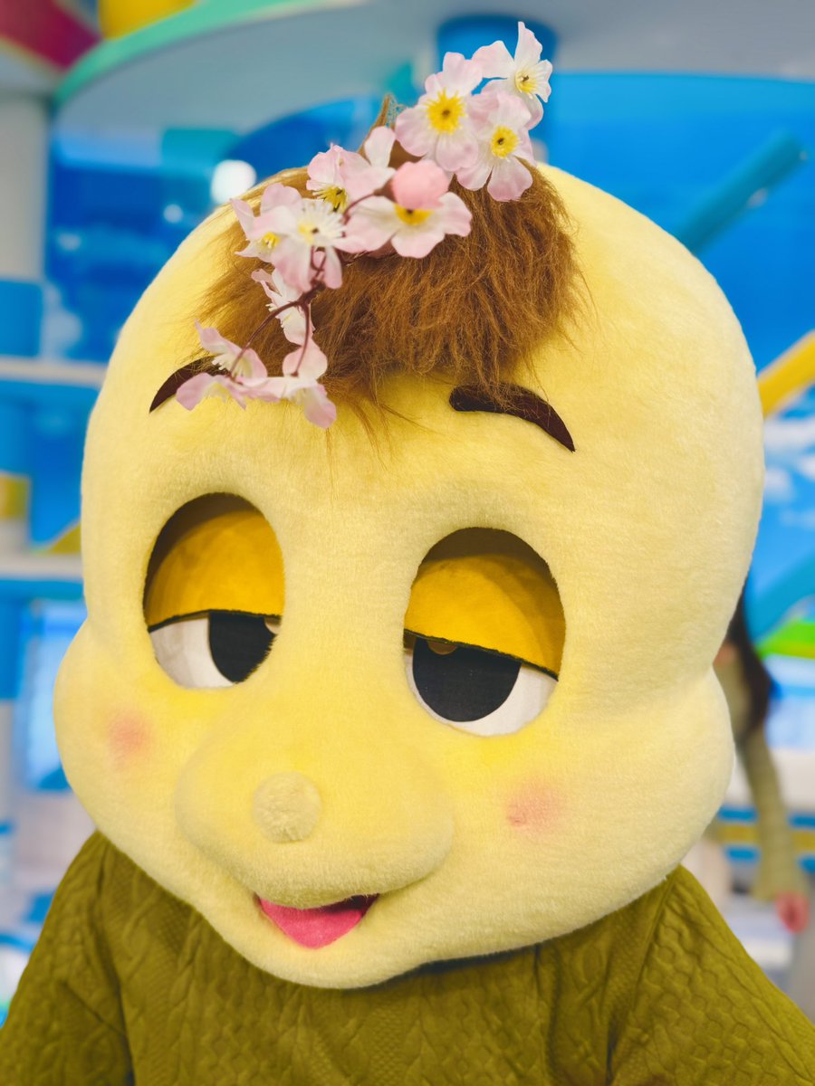 北村真平(ABCアナウンサー) tweet media