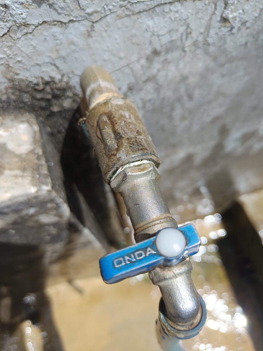 ayesu 🩷💚 tweet media