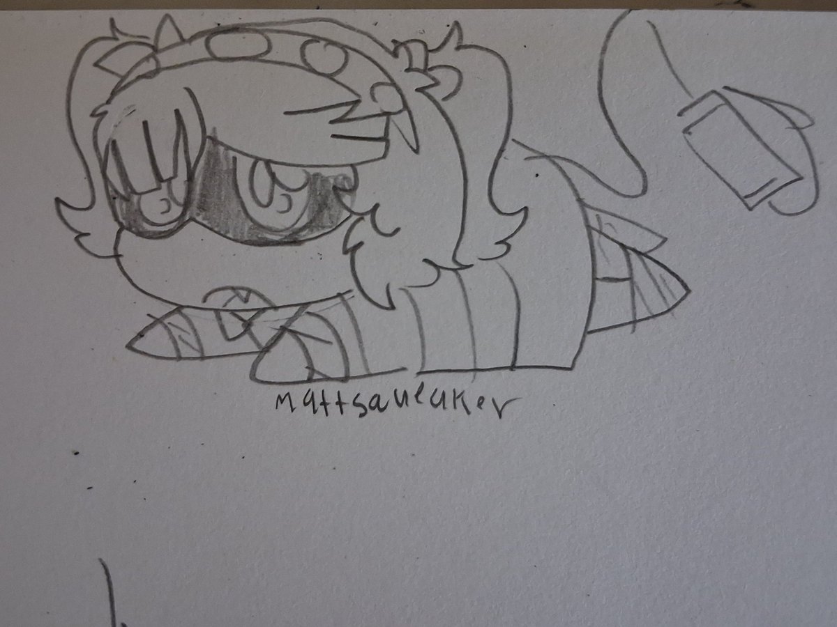 🦇Matt the squeaker🦇 tweet media