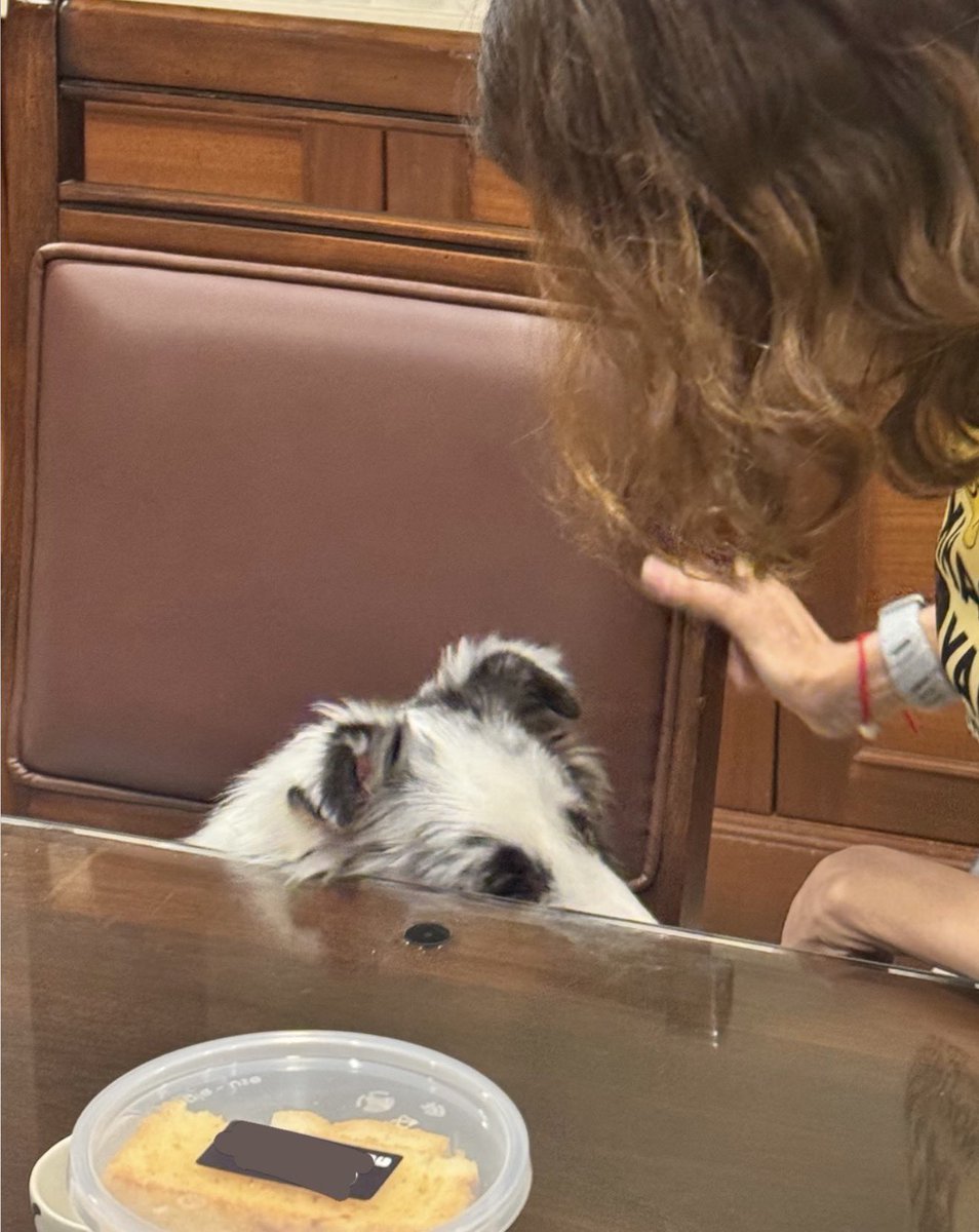 อาโกวเห็นหนูด้วยหรอคะ 🥺 #คุณหนูเจเนท