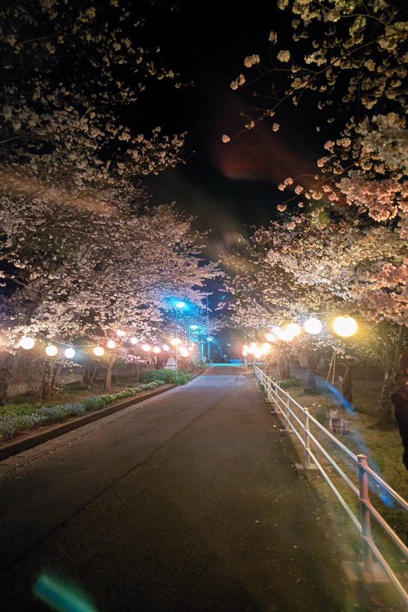 kousuke_gtsr's tweet photo. 同じ所。夜ver。
#夜桜 https://t.co/d1NUXv6gjp