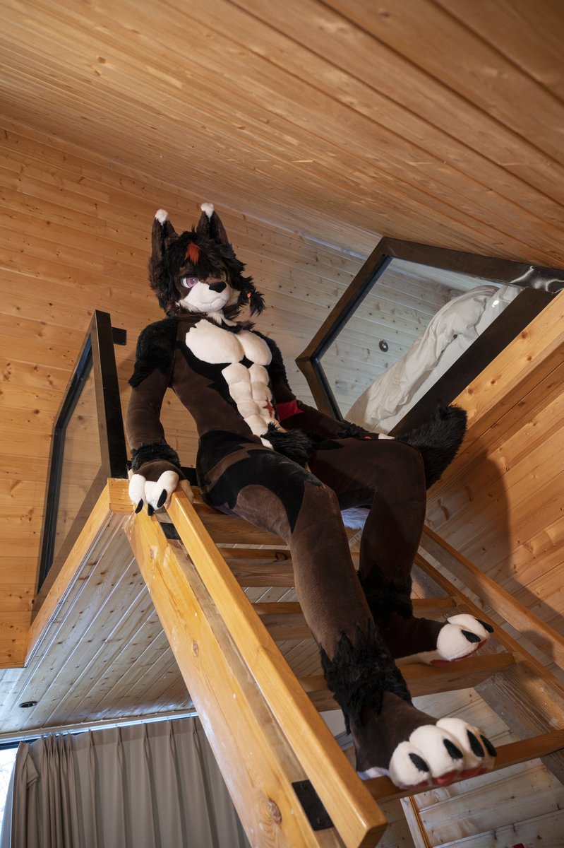 Spring泉➡️FurstClass tweet media