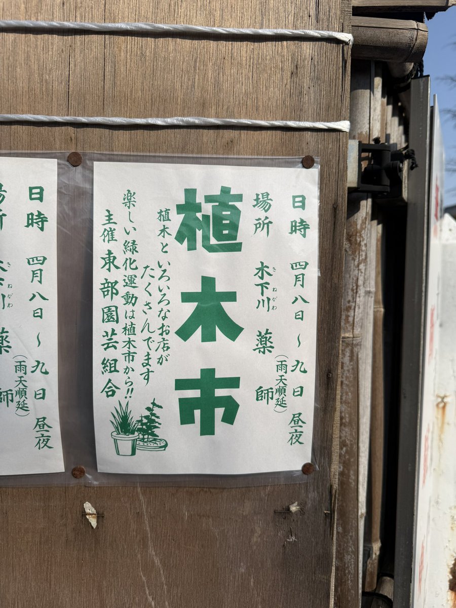 RPI_'s tweet photo. さださんが必ず雨が降るという浄光寺の植木市は4/8-4/9だそうですよ！（雨天順延）っていつも順延してたのかなぁ。 https://t.co/ox2BkQ1QxG