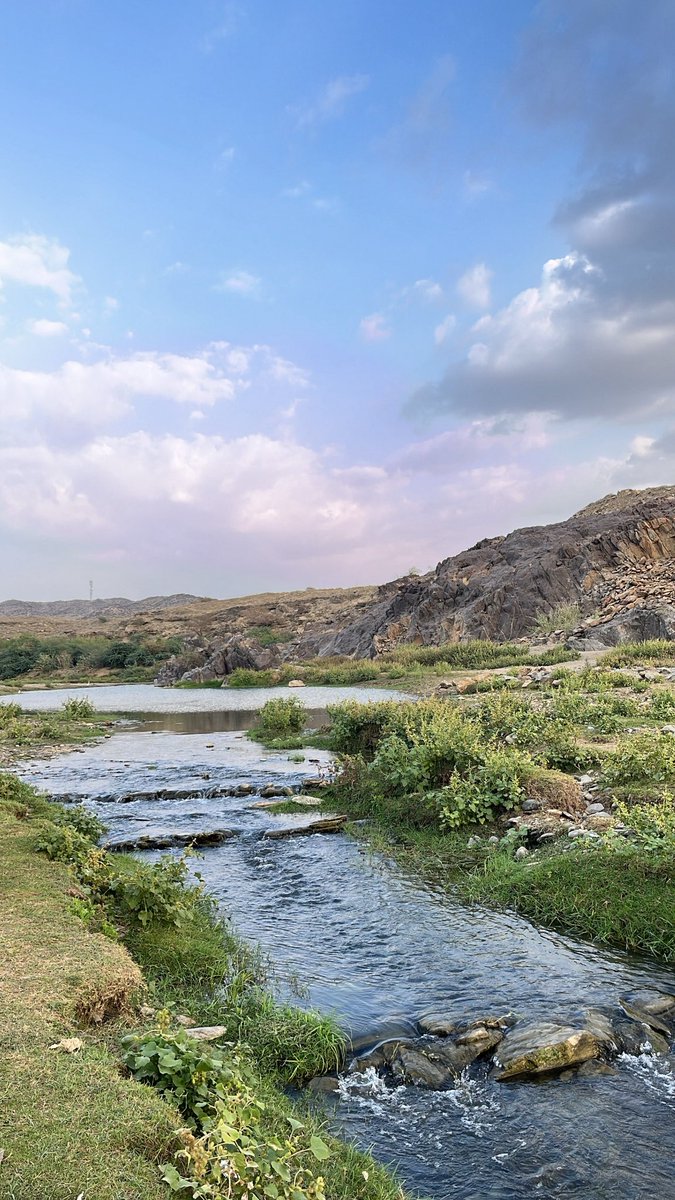 ريان🇵🇹 tweet media