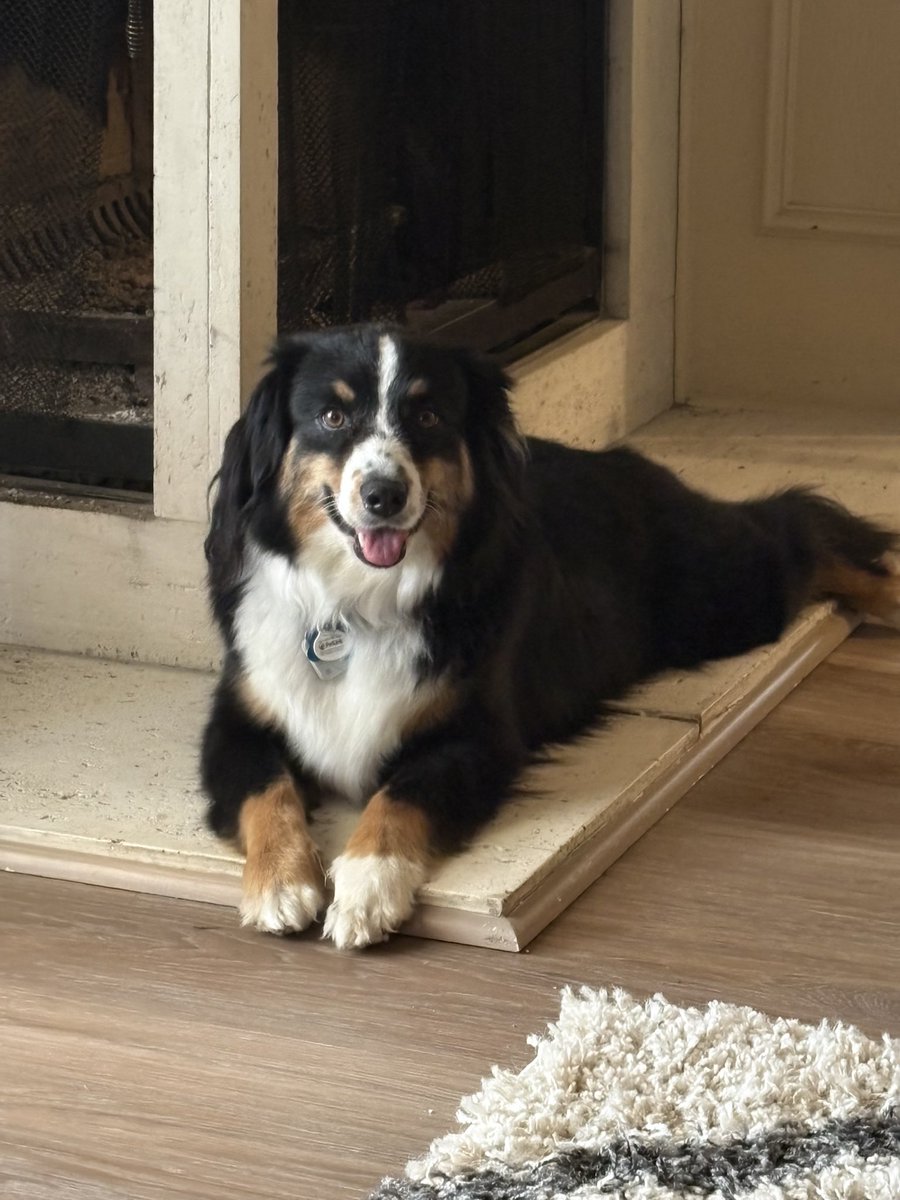 Michelle 🇺🇸 tweet media