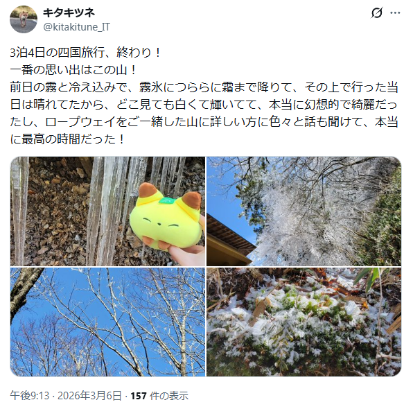 キタキツネ tweet media