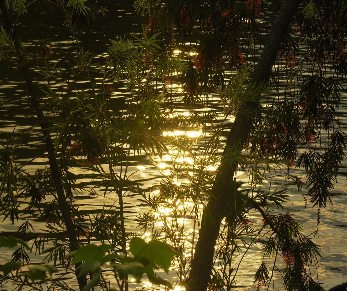 我是你的一顆星嗎 tweet media