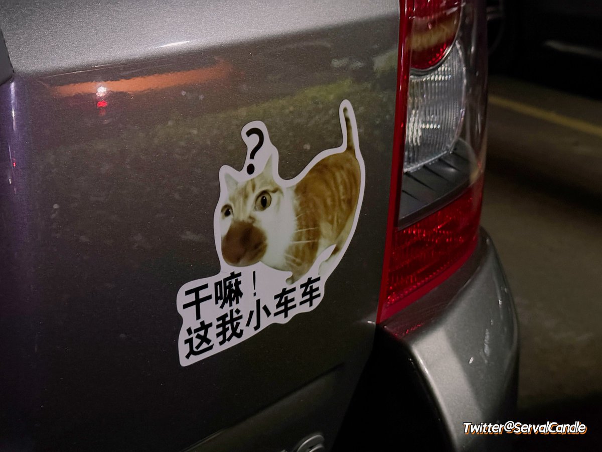 🌸猫宮すみか🎀🫪 tweet media