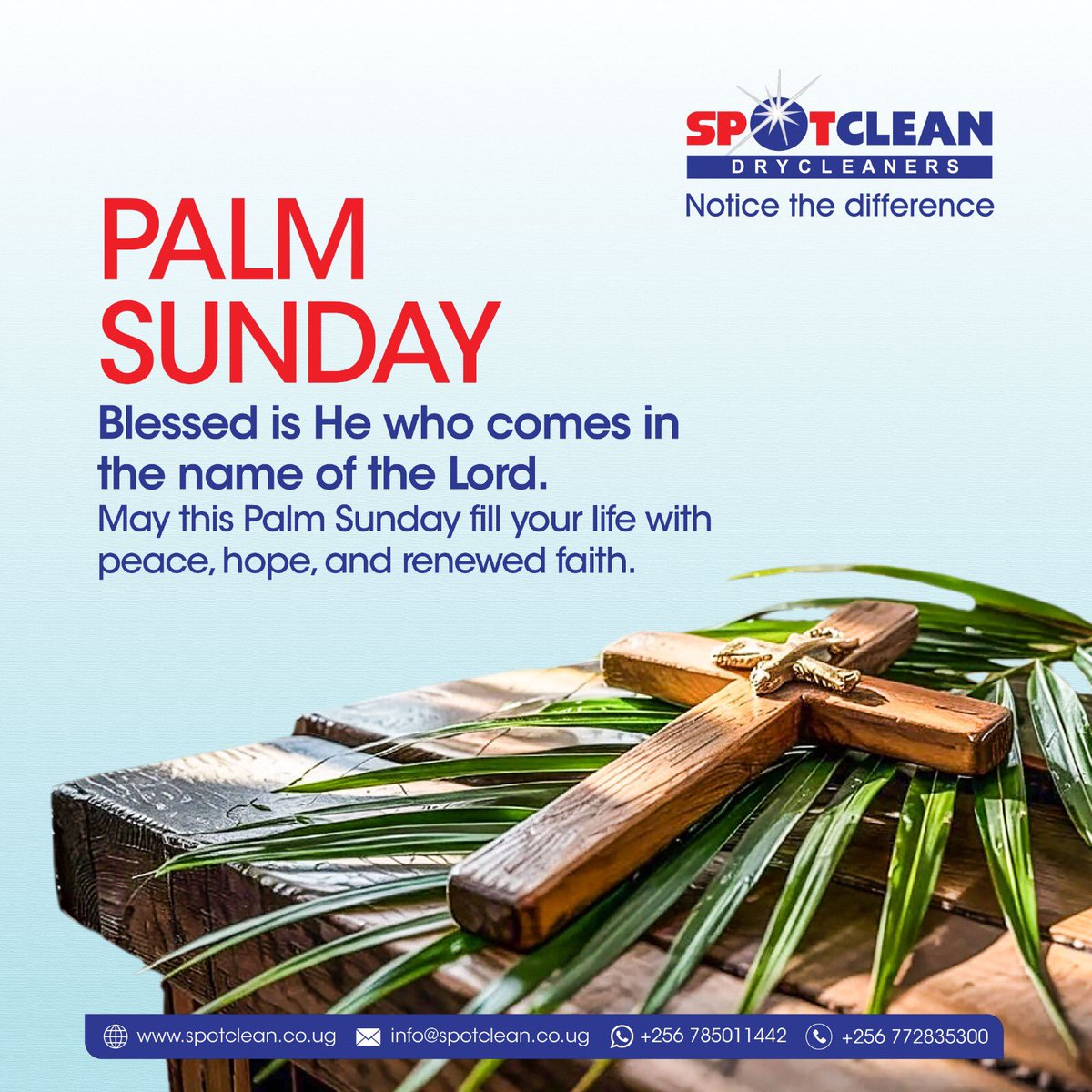 Spotclean Drycleaners tweet media