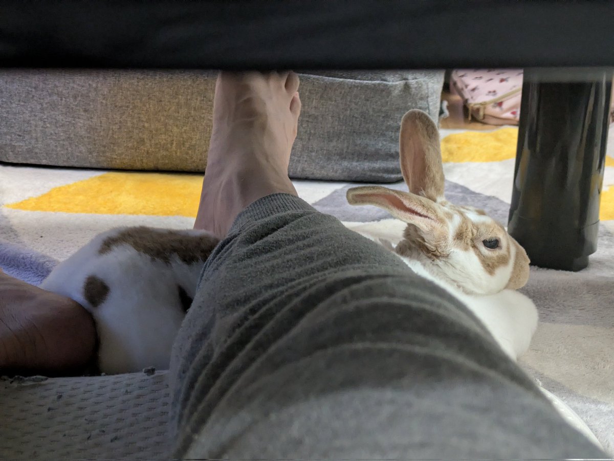 ばーら(バイク) tweet media