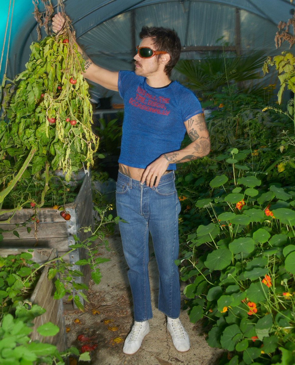 Harry Argentina 🪩✨ tweet media