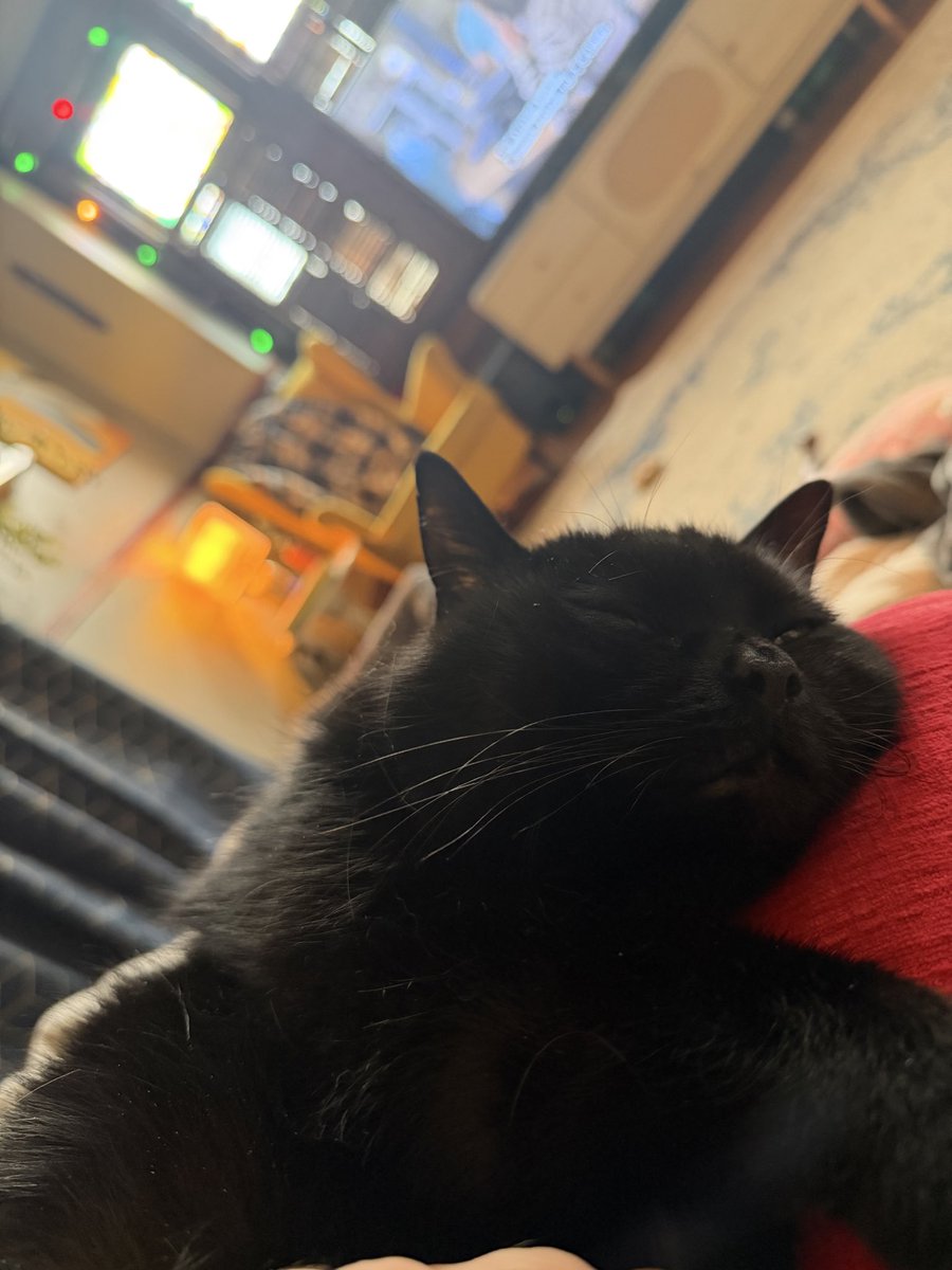 Mr. Vibes tweet media