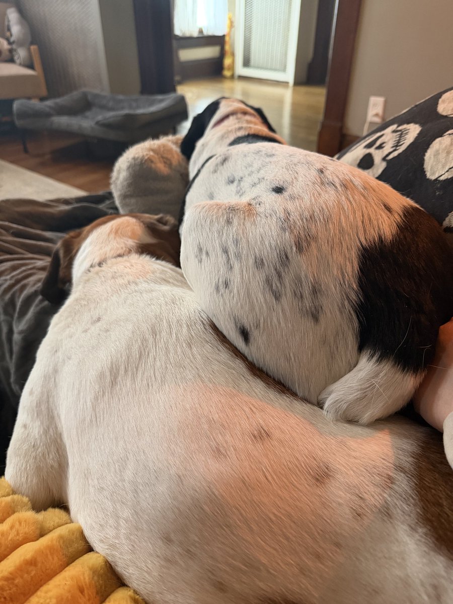 Mr. Vibes tweet media