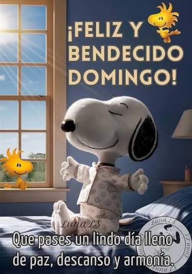 Profesora2.0😍🇨🇱🎼🌈👻 tweet media