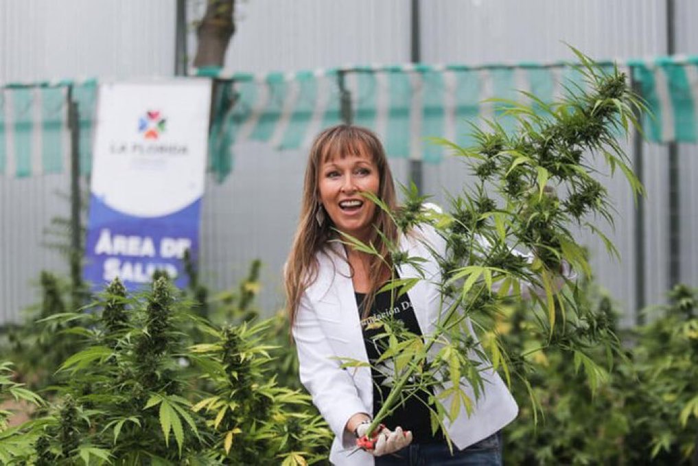 T O K i 🇨🇱 tweet media