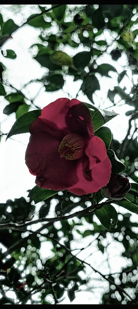 MITSUTOSHI tweet media