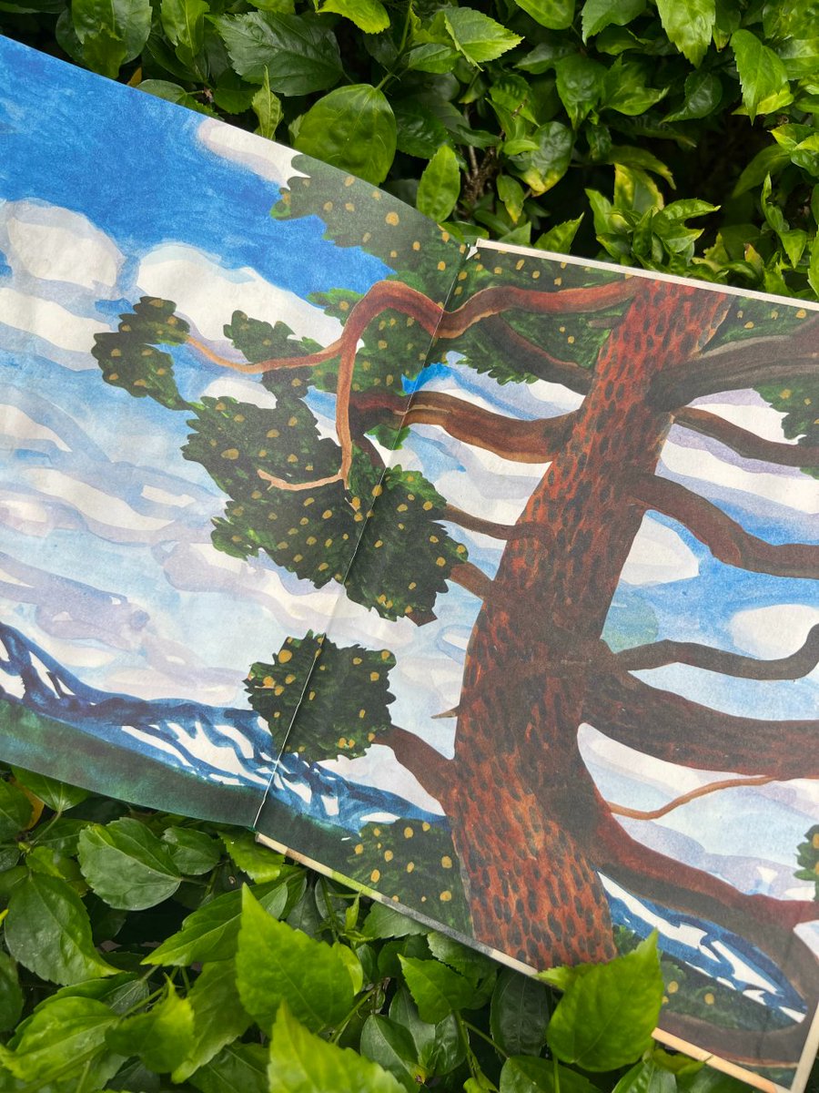 AxeIrod | Official Announcements tweet media