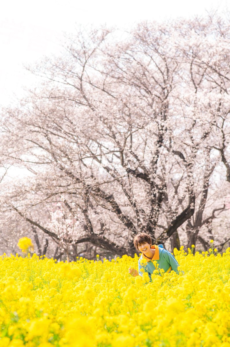 りひてん tweet media