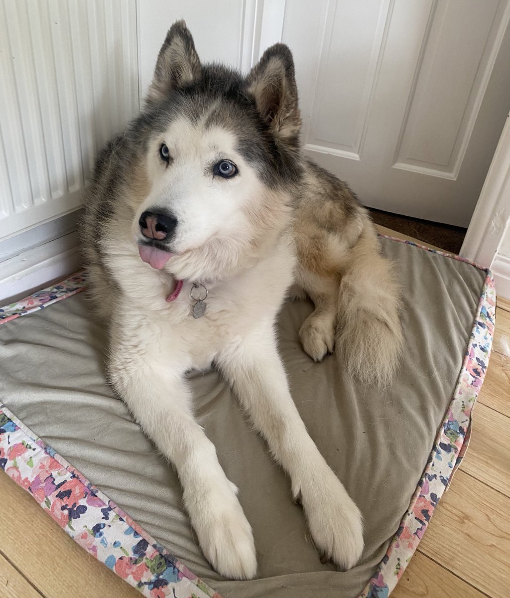 rachel 🌙 tweet media