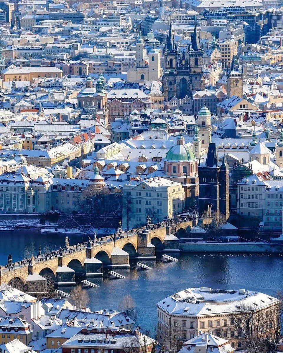 City Scape Hub tweet media