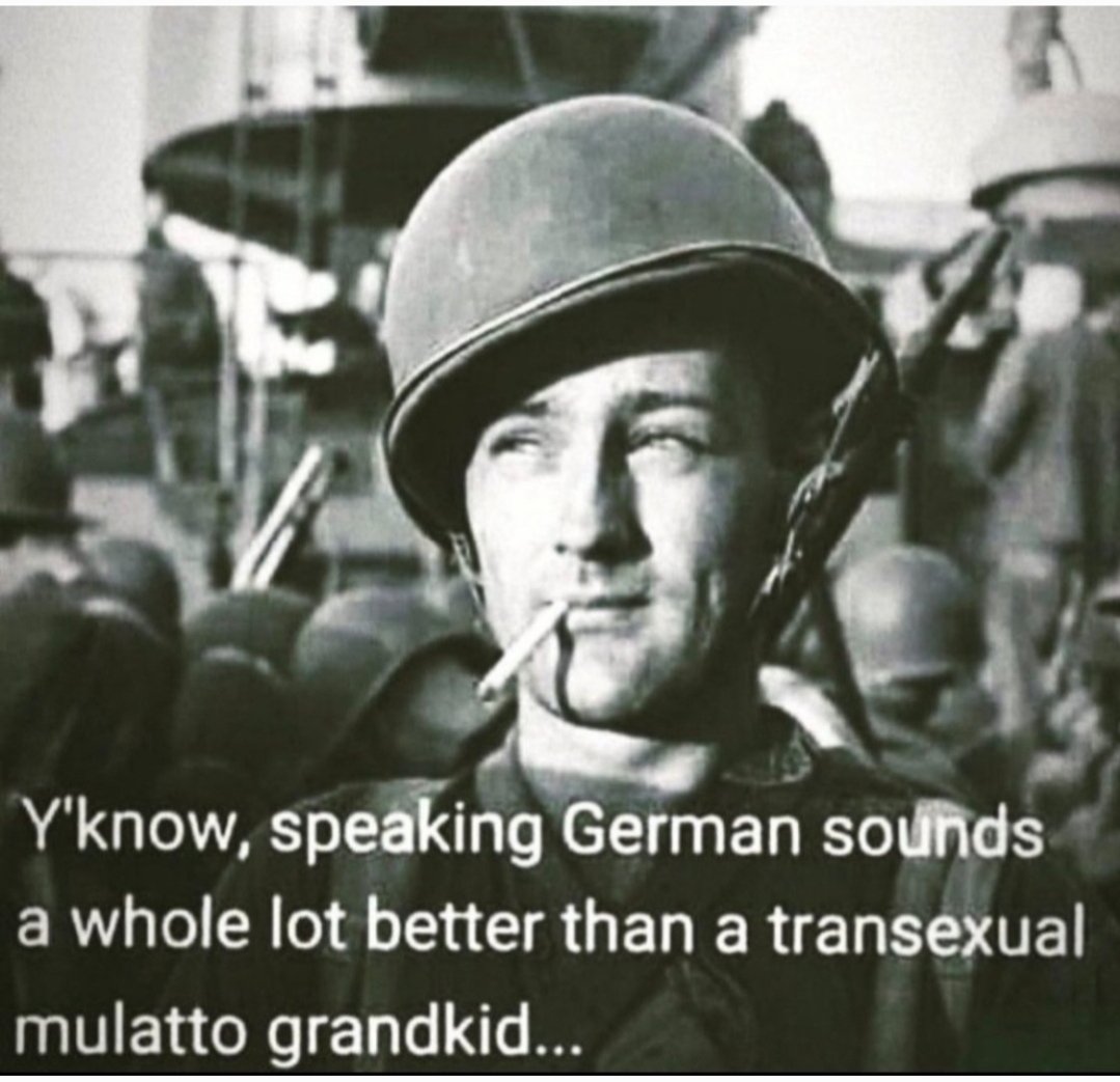 Noogenesis 🇺🇸🇩🇪🇸🇯 tweet media