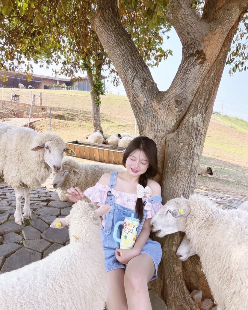 สปาย tweet media