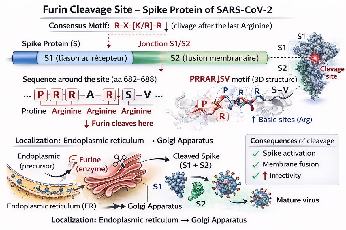 LE COLLECTIF 🅻🅴 🅲🅾🅻🅻🅴🅲🆃🅸🅵 🇫🇷 tweet media