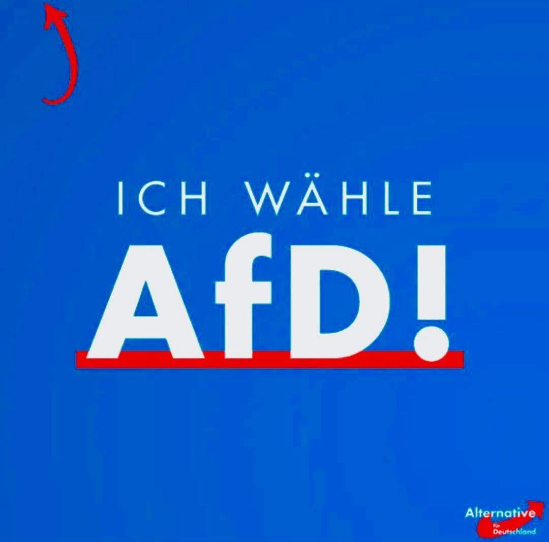 🇩🇪💙Mario Gallego Rodriguez🇩🇪💙 #Remigration tweet media