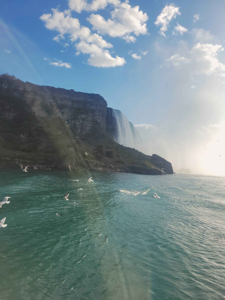 ‧₊˚❀༉‧₊˚.joey،،‎ ‎ ‎ ‎ tweet media