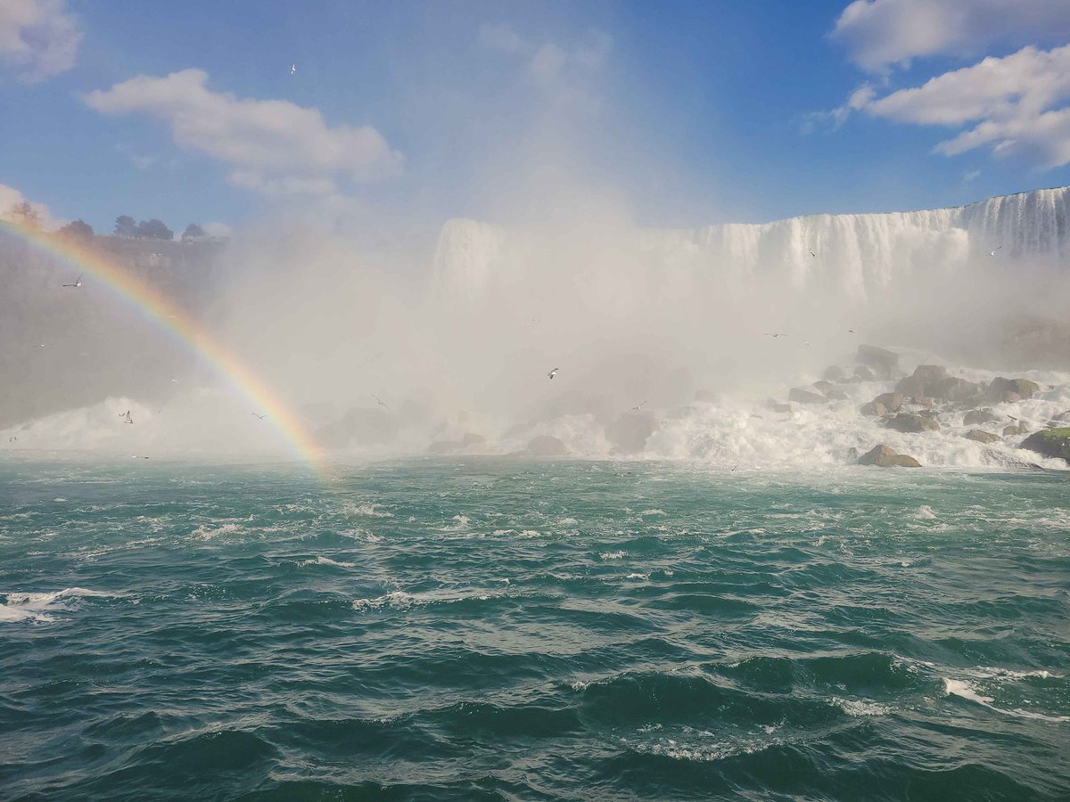 ‧₊˚❀༉‧₊˚.joey،،‎ ‎ ‎ ‎ tweet media