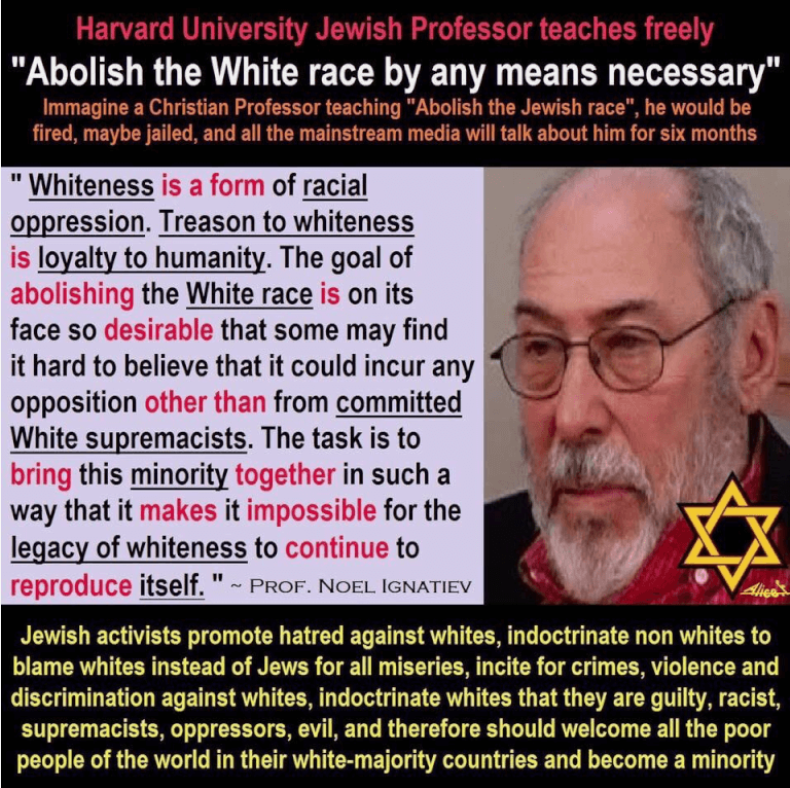 Beatrix Rode tweet media