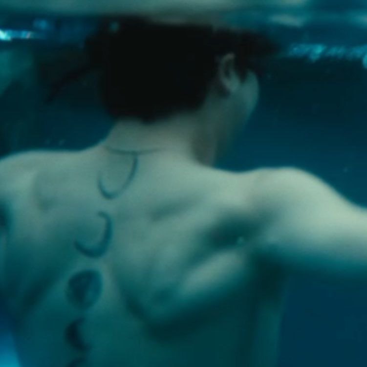 다리나 tweet media