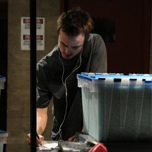 Daily jesse pinkman tweet media