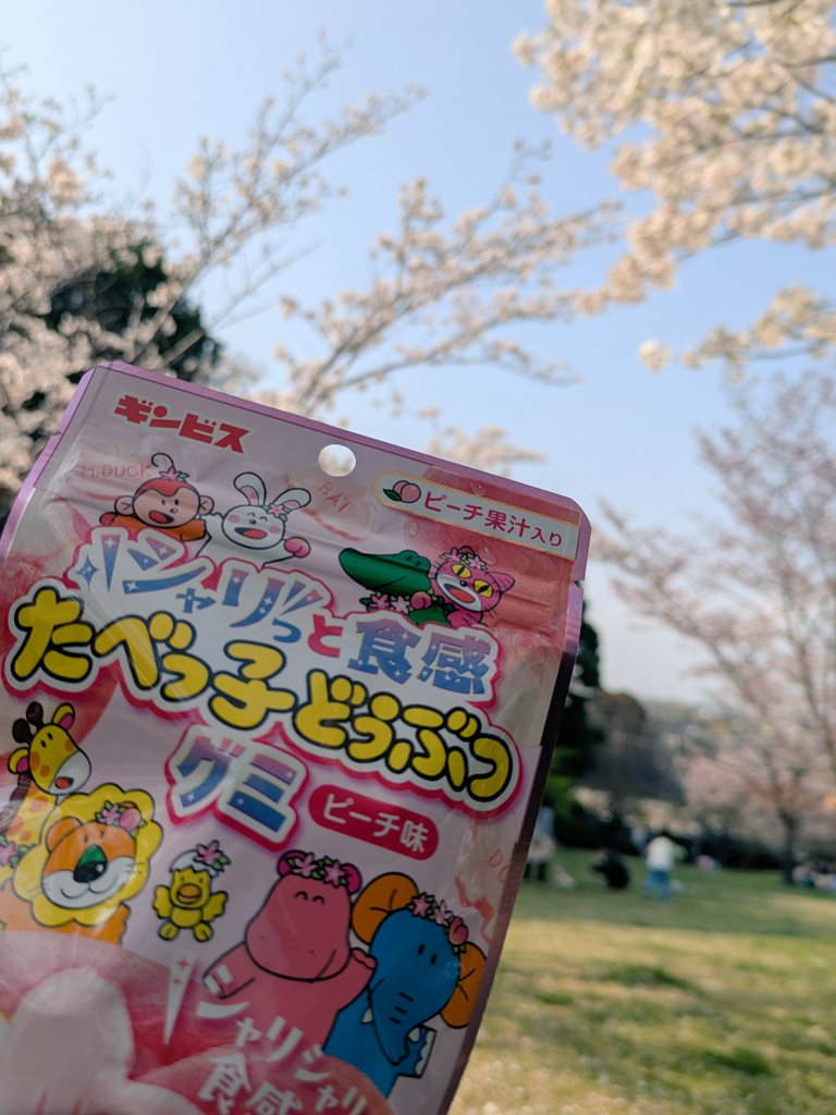 unchi_pien's tweet photo. お花見した❗
お天気よくて暖かくて最高の一日ᐠ( ᐛ )ᐟ https://t.co/lTE91B1ELI
