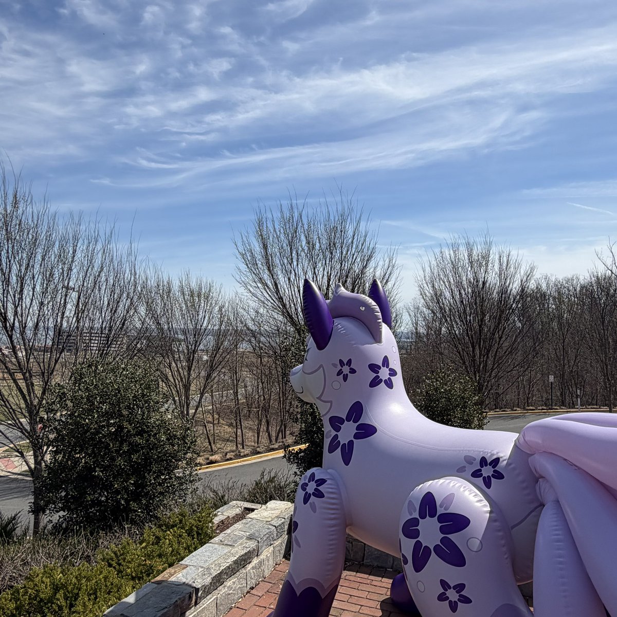 Jet Creations - Inflatables Galore! tweet media