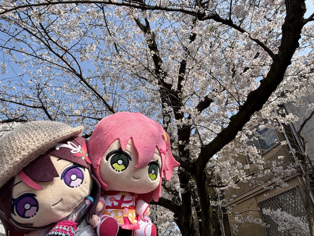 みつごご tweet media