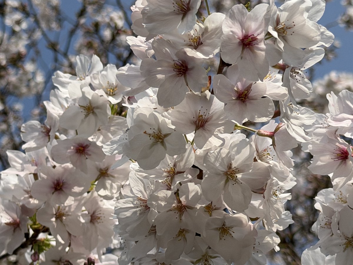 みつごご tweet media