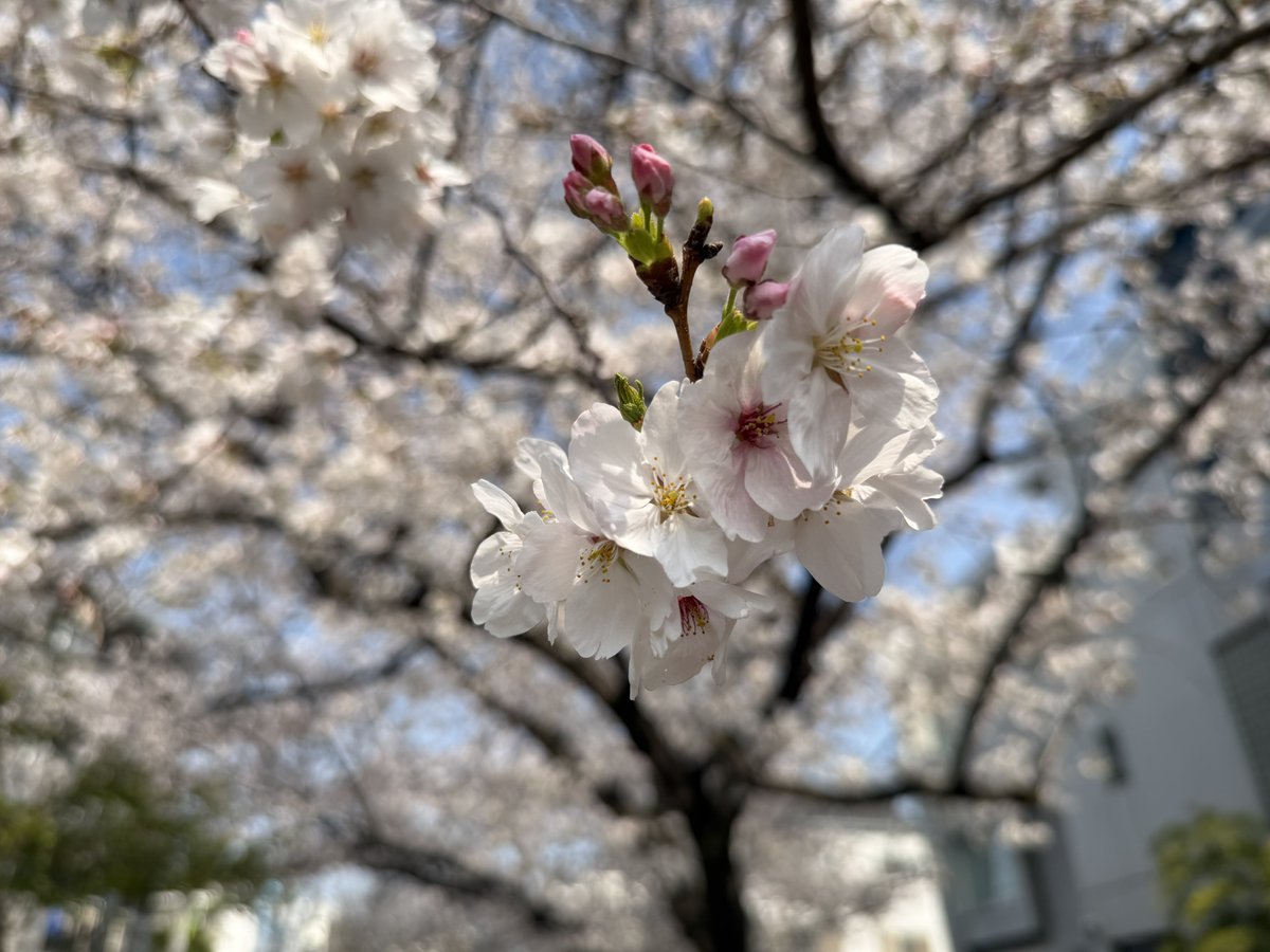 みつごご tweet media