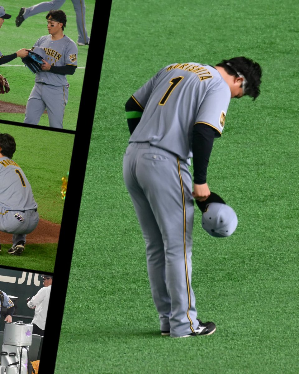 ︎✦︎ tweet media