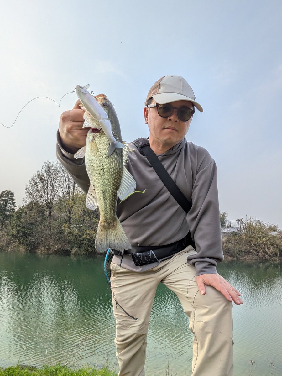 manabe4923's tweet photo. 今年初バス、仕事やら資格やらでなかなか釣りに行けず、やっとスタートしました😄 https://t.co/jHve6M0PwX