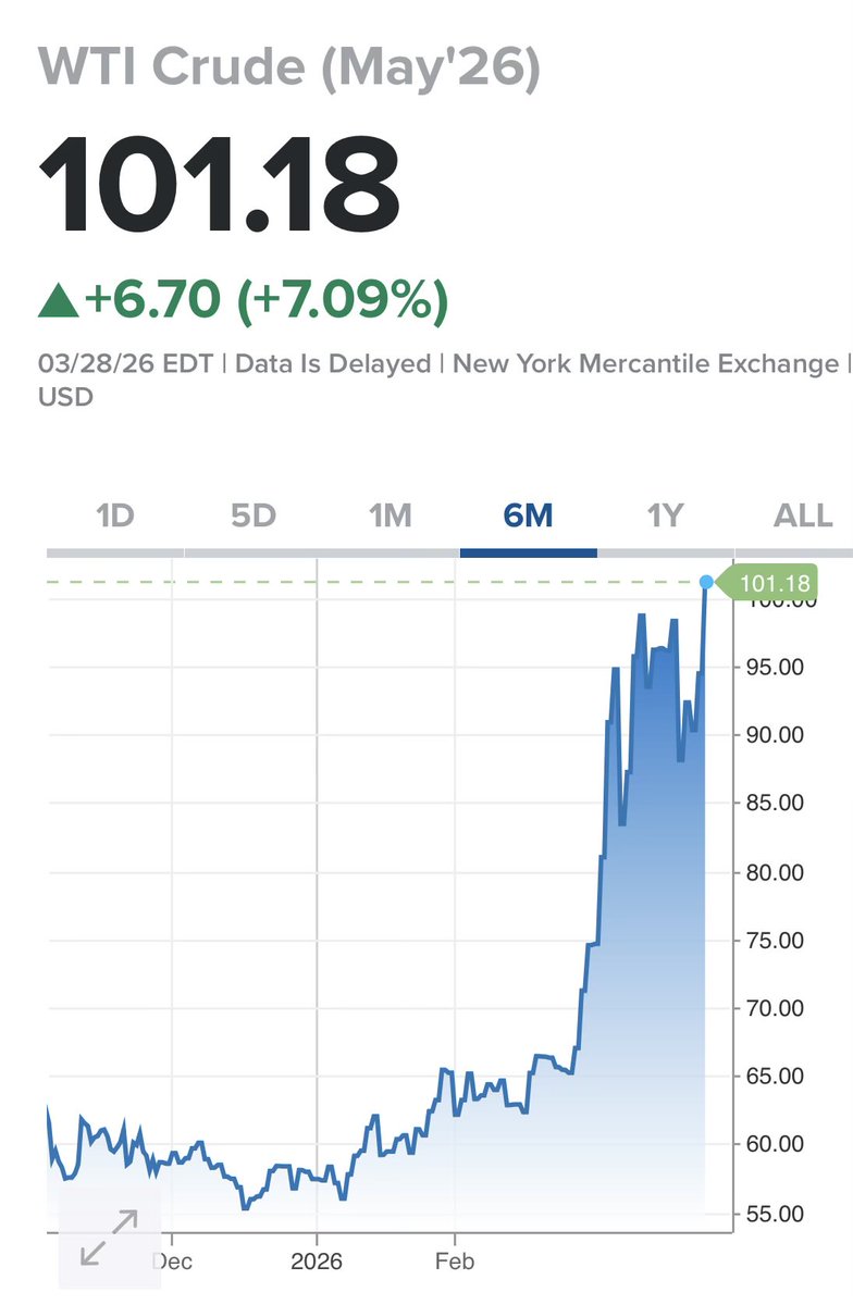 jaguar_ilustrado tweet media