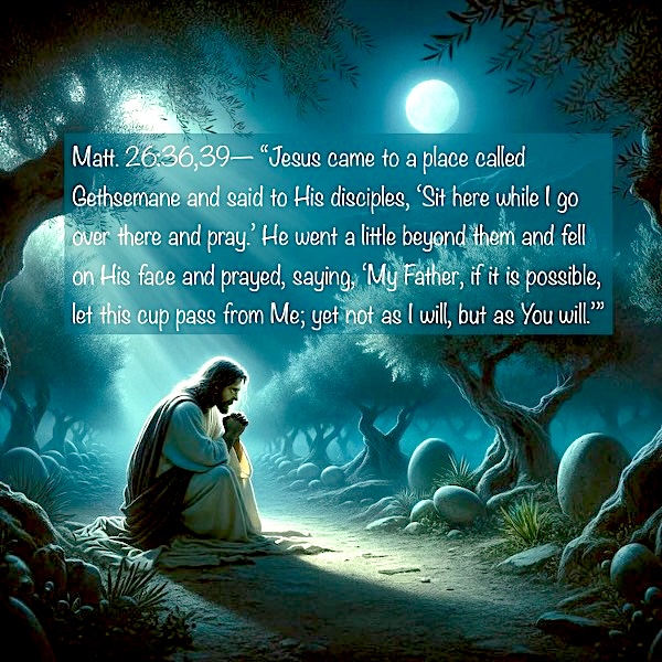 CapitolStudies's tweet photo. Jesus was so distressed in His prayers that He broke out in a sweat of blood. His sorrow was not in fear of man or the horrific torment of the cross; rather, within hours, the cup of divine fury against sin would be His to drink, separating Him from the Father. https://t.co/03hZSHgQaF